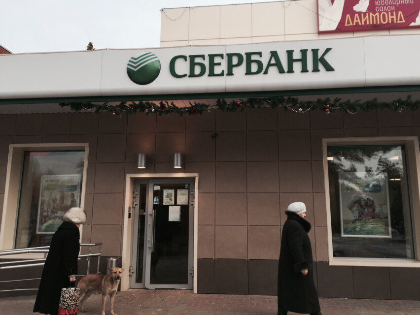Присвоившую более 20 миллионов рублей сотрудницу «Сбербанка» в Волгодонске отправили в тюрьму
