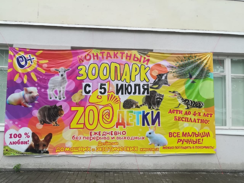 Контактный зоопарк Контактный зоопарк