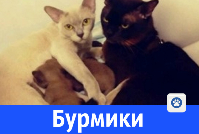 на сайт.jpg