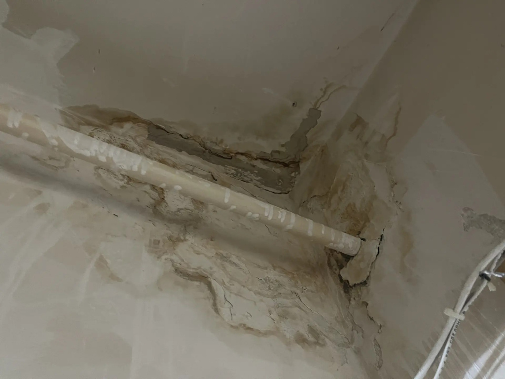 72f9a5a5-58af-449d-a609-922ec78b0e60.jpg