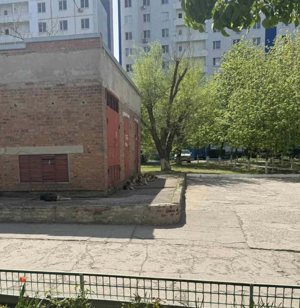 1e2085d1-ceca-4799-8c8d-158b30da5634.jpg