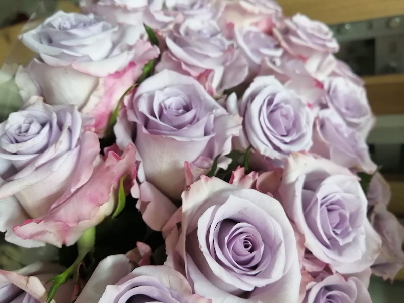 Красивые цветы в магазине «Донна Роза», Волгодонск