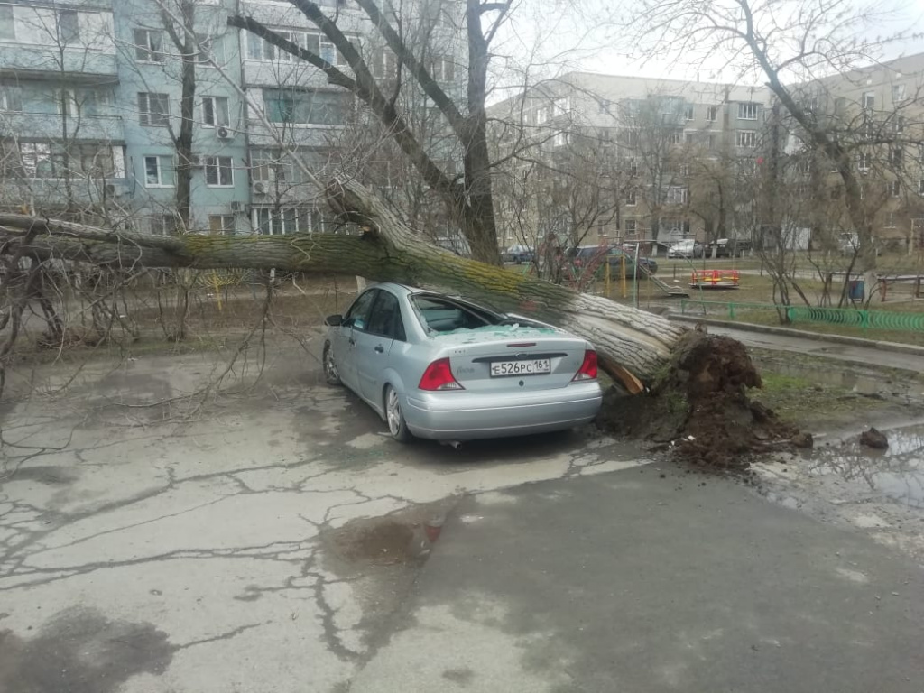 Огромное дерево раздавило машину на Гагарина в Волгодонске