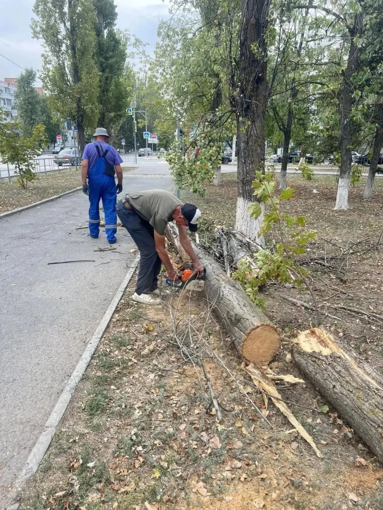 1к.jpg